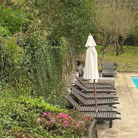 Welcoming House: Retreat With Shared Pool Holiday home Santa Cruz do Douro